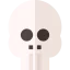Anthropology icon 64x64