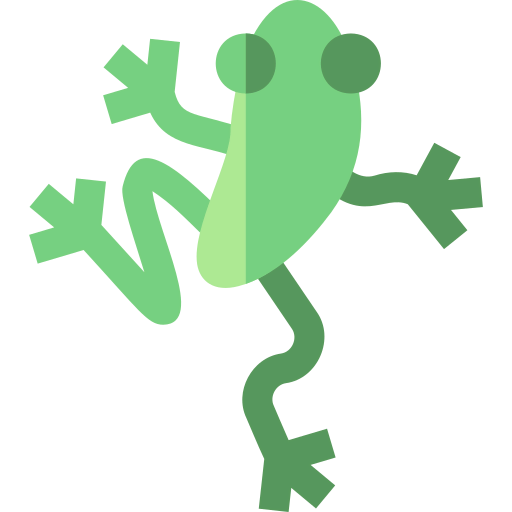 Frog icon