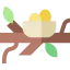 Nest Symbol 64x64