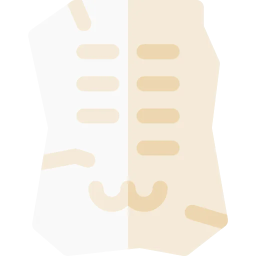 Fossil icon