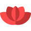 Lotus icon 64x64
