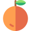 Orange icon 64x64