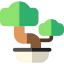 Bonsai icon 64x64