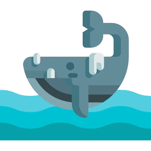 Whale icon