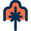 Seshat icon 64x64