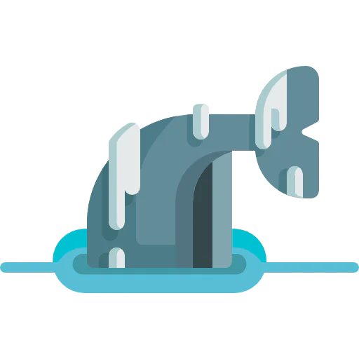 Whale icon