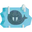 Sea lion icon 64x64