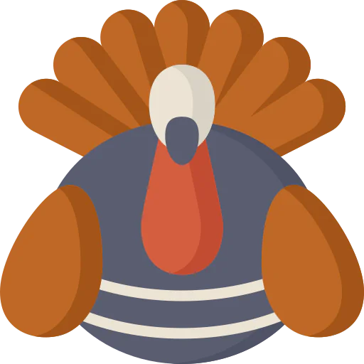 Turkey icon