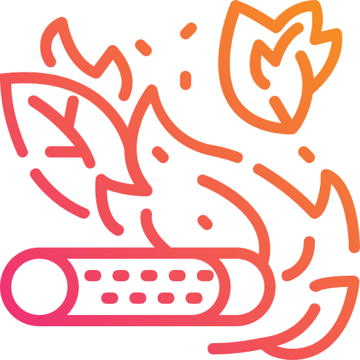 Wildfire icon