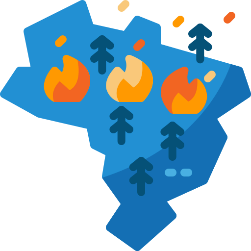 Amazon icon