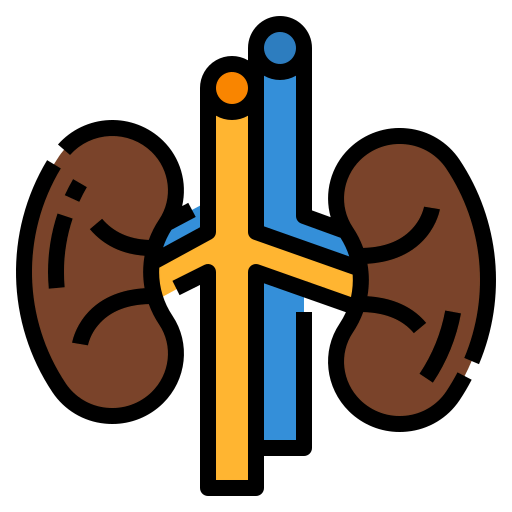 Kidney icon