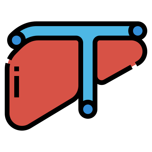 Liver icon