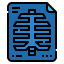 X rays icon 64x64