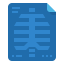 X rays icon 64x64