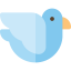 Dove icon 64x64