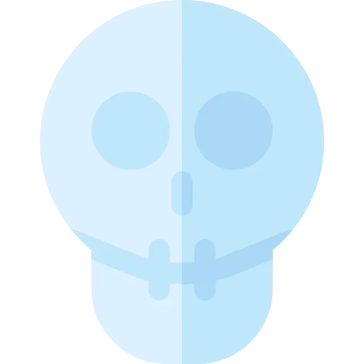 Skull icon