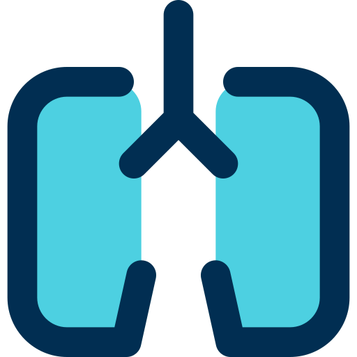 Lungs icon