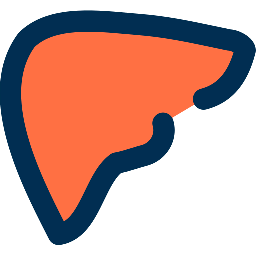 Liver icon