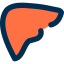 Liver Symbol 64x64