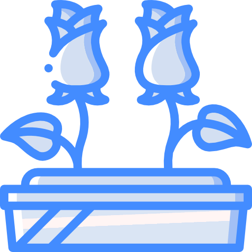 Roses icon