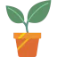 Plant icon 64x64
