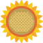 Sunflower icon 64x64