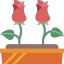 Roses icon 64x64