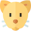 Cat icon 64x64