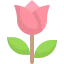 Rose icon 64x64