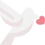 Dove icon 64x64