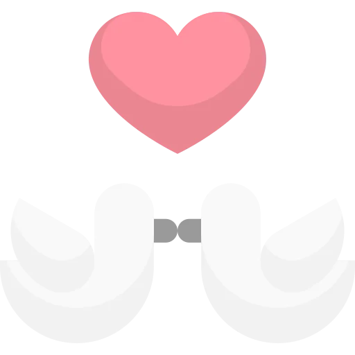 Pigeons icon