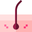 Dermis icon 64x64