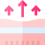 Dermis icon 64x64