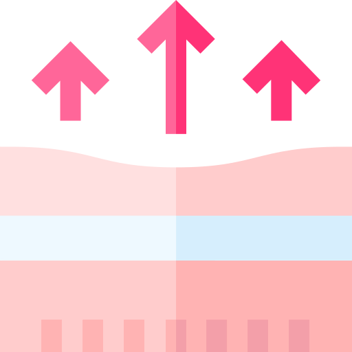 Dermis icon