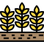Barley icon 64x64