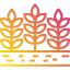 Barley icon 64x64
