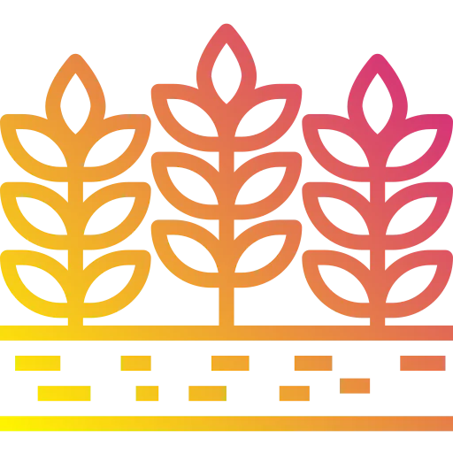 Barley icon