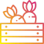 Carrots icon 64x64