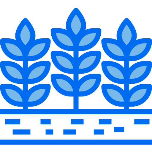 Barley icon