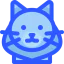 Cat icon 64x64