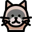 Himalayan cat icon 64x64