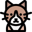 Cat icon 64x64
