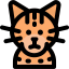 Cat icon 64x64