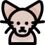 Cat icon 64x64