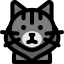 Maine coon cat icon 64x64