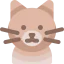 Shorthair cat icon 64x64