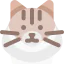 Ragdoll cat icon 64x64
