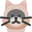 Himalayan cat icon 64x64
