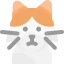 Turkish cat icon 64x64