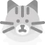 Norwegian forest cat icon 64x64